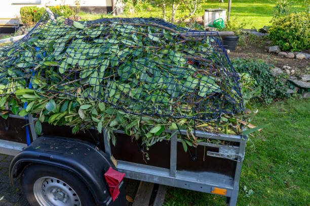 Recycling Services for Junk in Casa Loma, CA